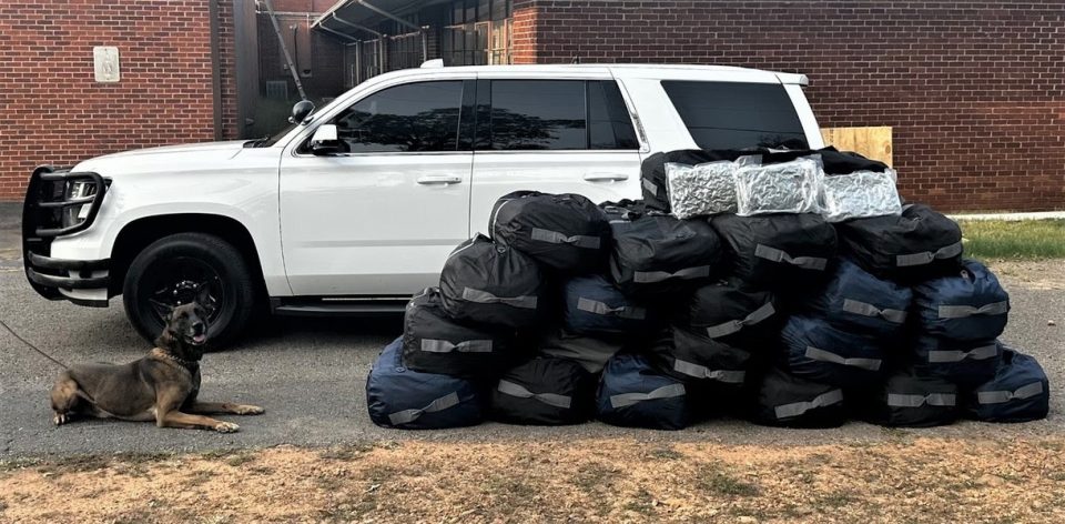 ASP Seized Over 15,000 Pounds of Illegal Marijuana, .3 Million Cash in 2024