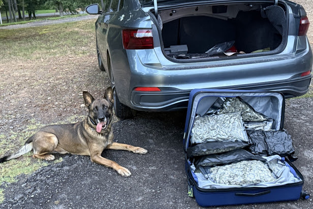Arkansas State Police Make Major Drug Seizures Along Interstate 40