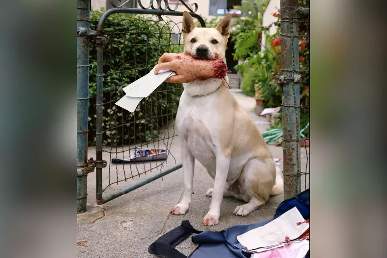 Batesville Council Hears Loose Dog Complaints Amid Mail Delivery Disruptions