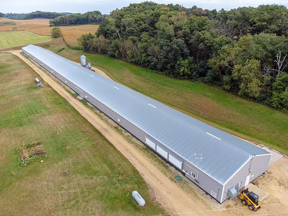 Federal Judge Orders Poultry Integrators to Fund 30-Year Cleanup of Illinois River Watershed